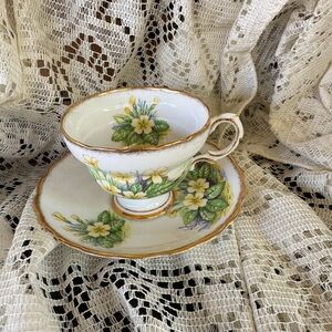 Rosina Bone China Floral Teacup and Saucer Set